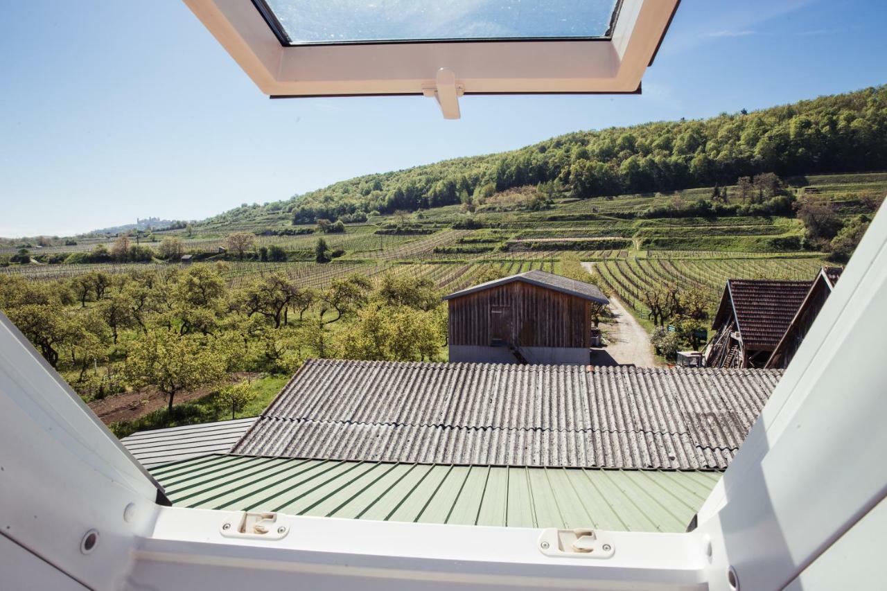 Weingut Jakob'S Ruhezeit Mautern an der Donau Kültér fotó