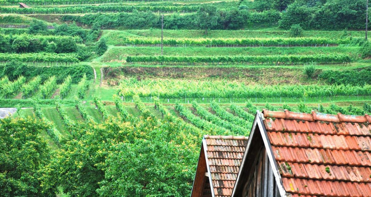 Weingut Jakob'S Ruhezeit Mautern an der Donau Kültér fotó